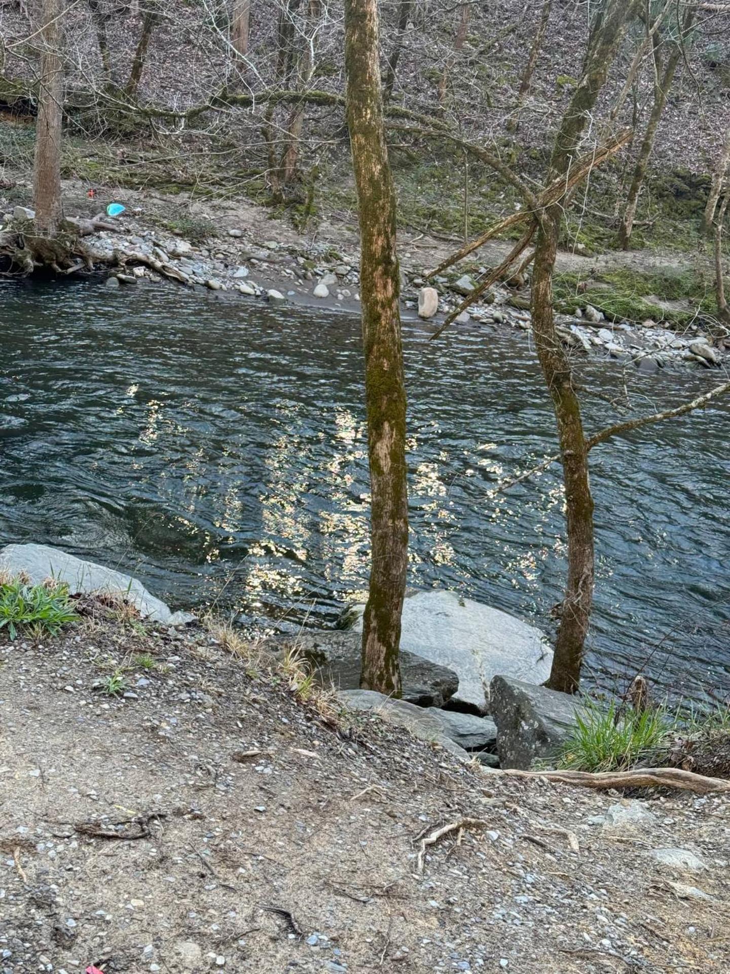 Вилла 1 Mile To Pkwy, Pets, Hot Tub, Creekside, Porch Пиджен-Фордж Экстерьер фото
